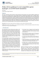 Policy-driven pathways to cost-competitive green hydrogen: an LCOH-based simulation